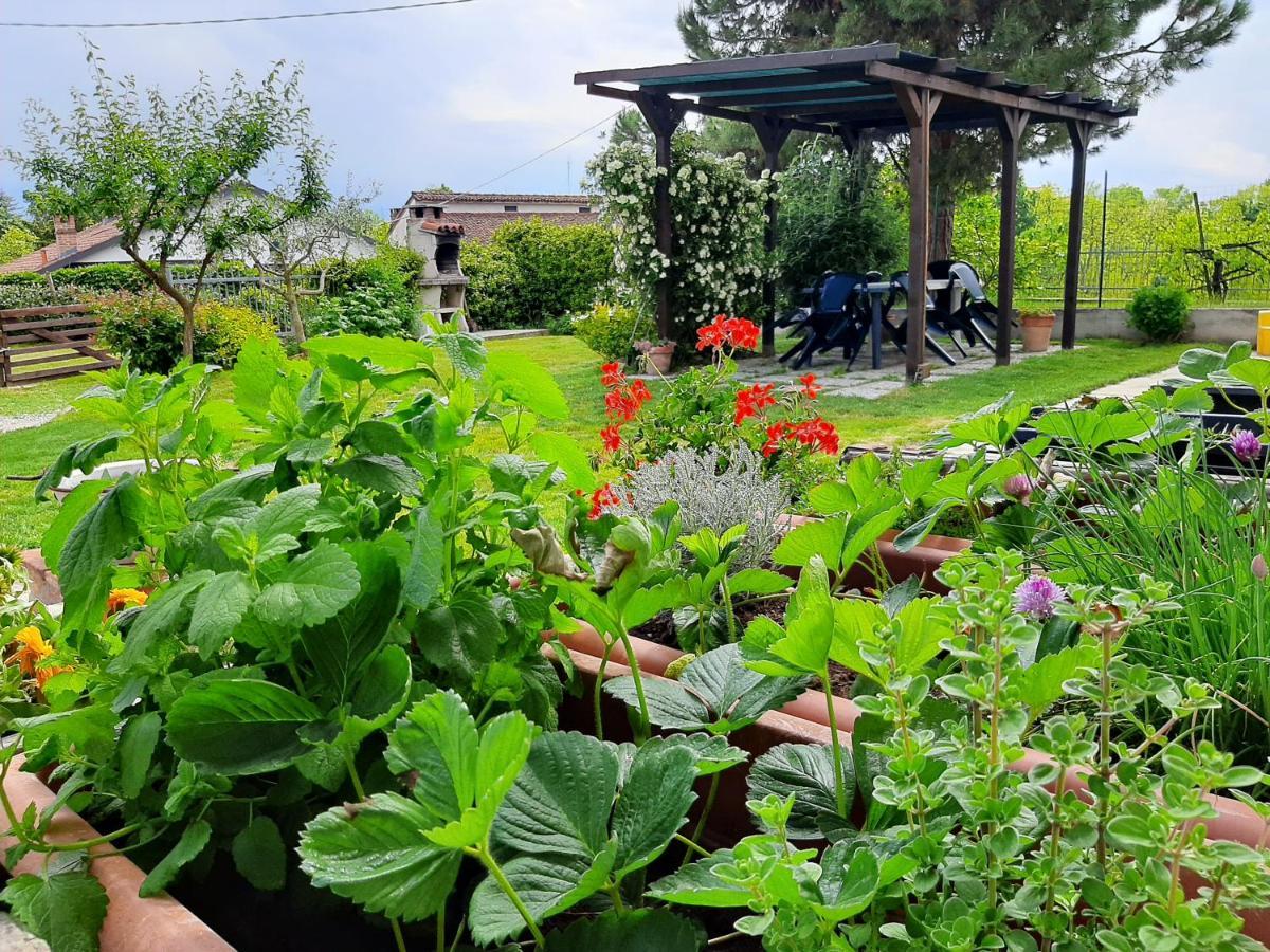 Cortazzone Cascina Teresina Monferrato Piscinaヴィラ エクステリア 写真