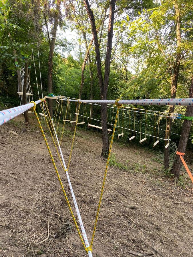 Cortazzone Cascina Teresina Monferrato Piscinaヴィラ エクステリア 写真