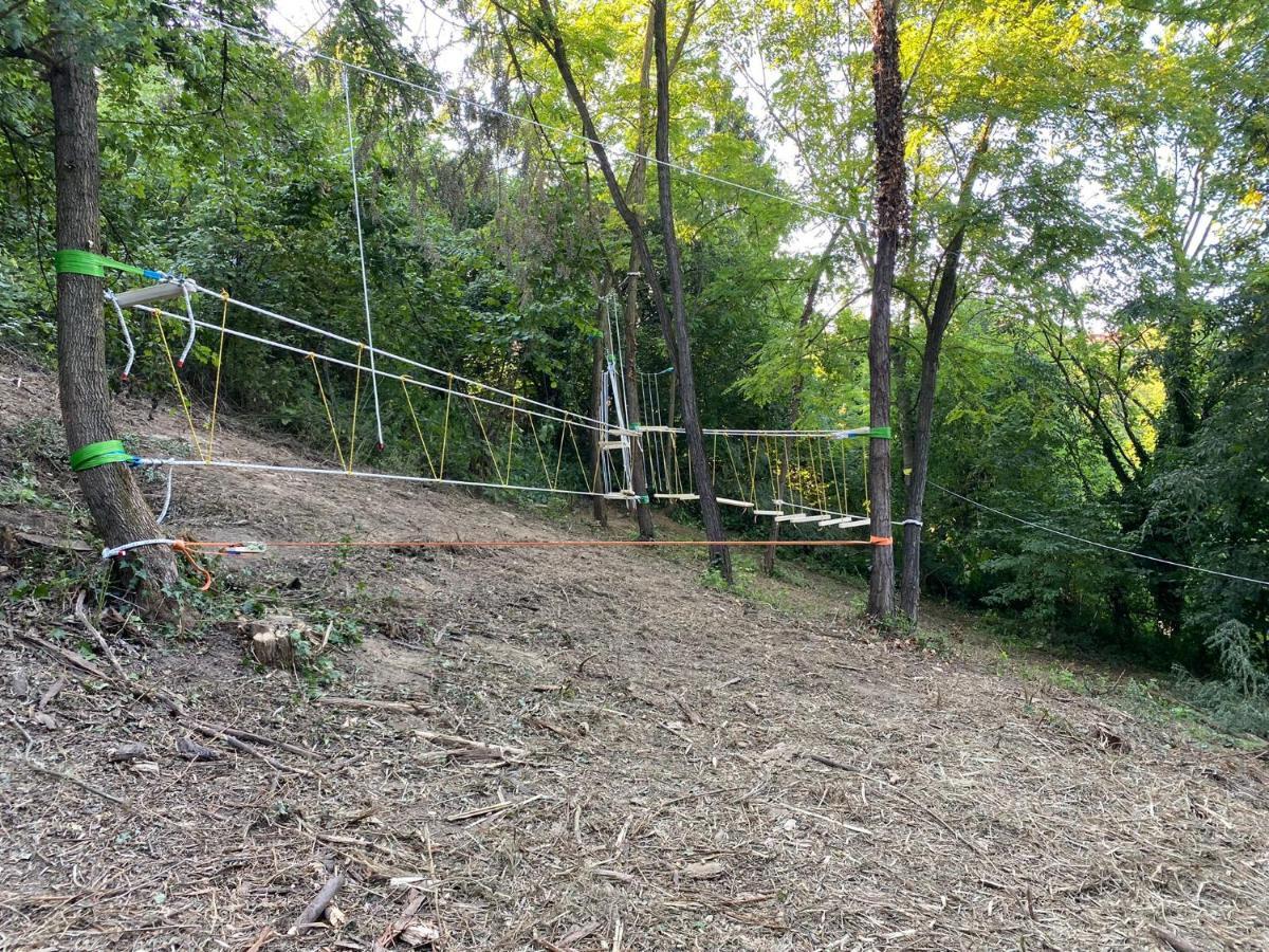 Cortazzone Cascina Teresina Monferrato Piscinaヴィラ エクステリア 写真